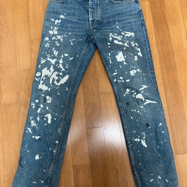 헬무트랭 리이슈 페인터진