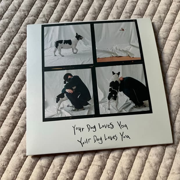 Colde 콜드 Your Dog Love You 앨범