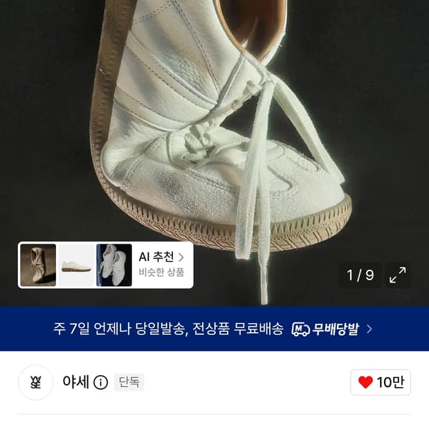 야세 독일군(270)