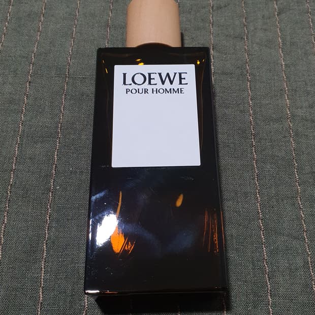로에베 뿌르 옴므 edt 100ml