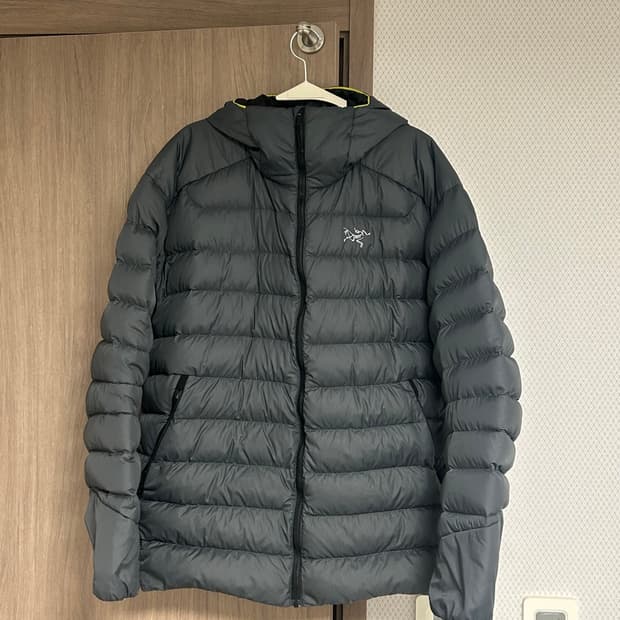 아크테릭스 토륨 후디