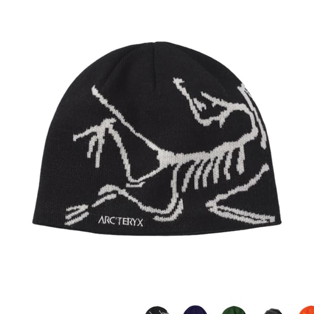 아크테릭스 비니