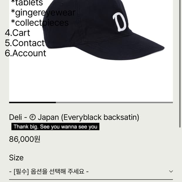 tefstores 테프스토어 deli-japan large