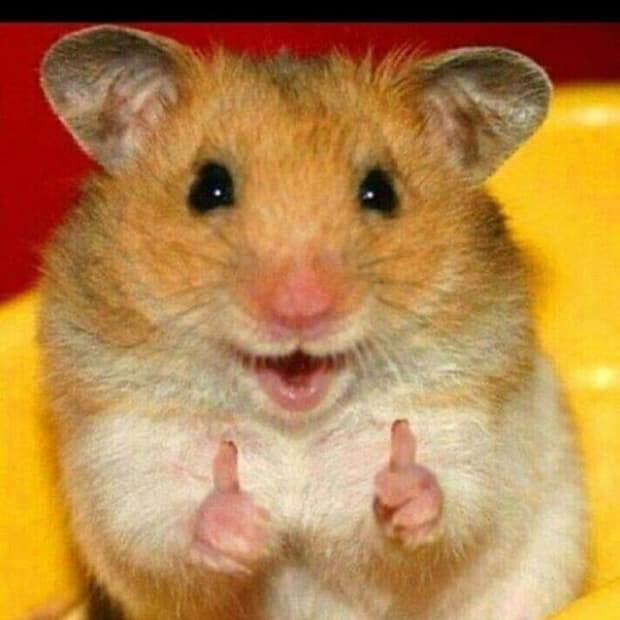 iouoxxxxxx님 슈프림 결제창