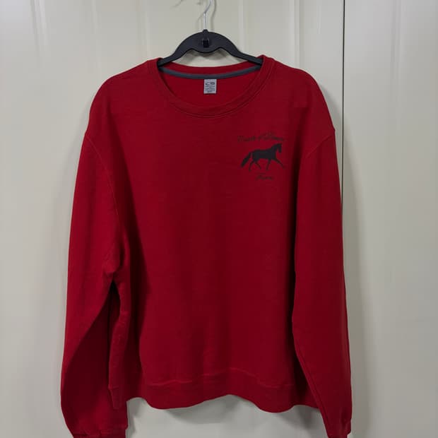 C9 champion 붉은 말 스웻셔츠