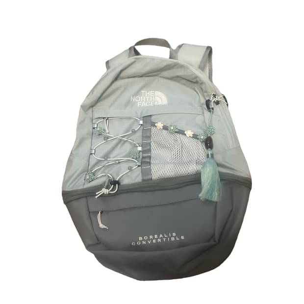 The north face norigae bagpack