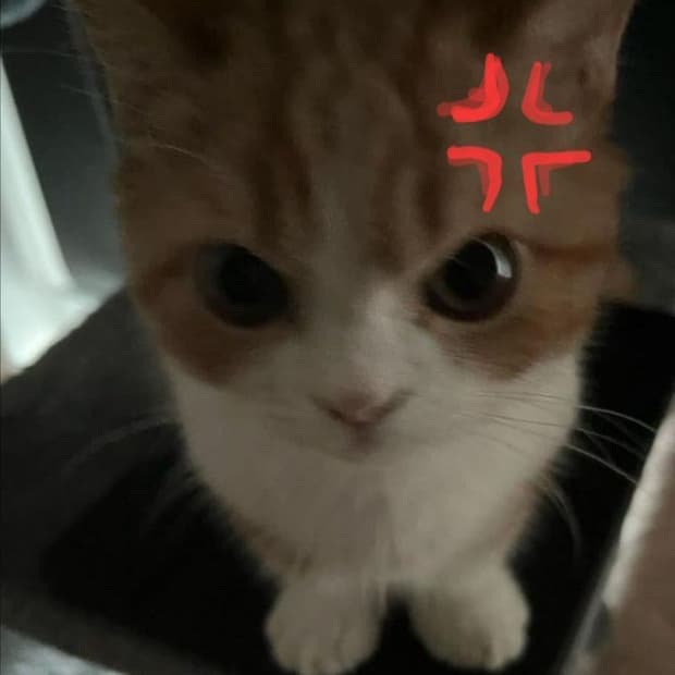 교환/교신 받아요!
