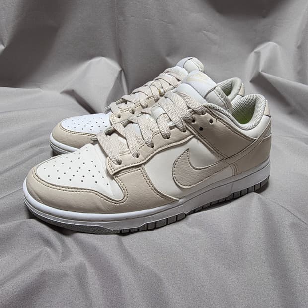 나이키 우먼스 덩크 로우 넥스트 네이쳐 [255mm]