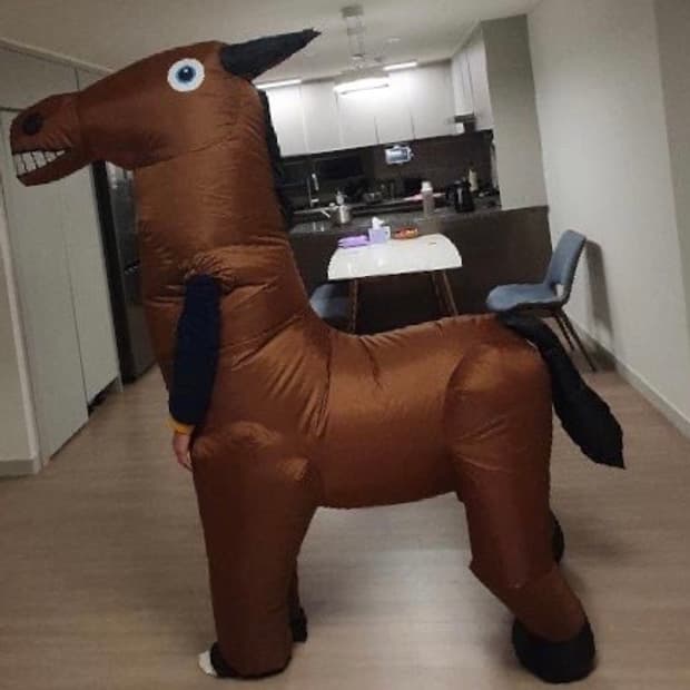 에어슈트 말 코스튬