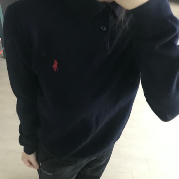 폴로 카라 니트