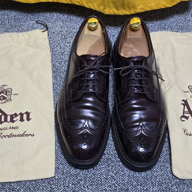 10D Alden 975 알든 975 코도반 롱윙