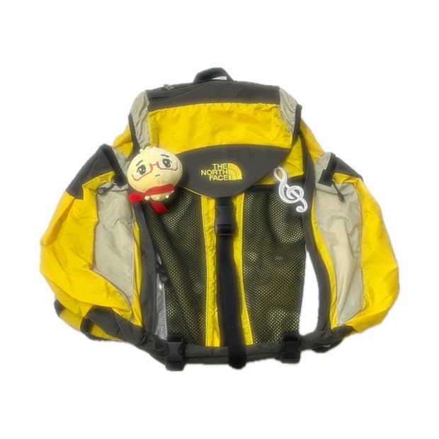 범블비 노스페이스 백팩 🐝