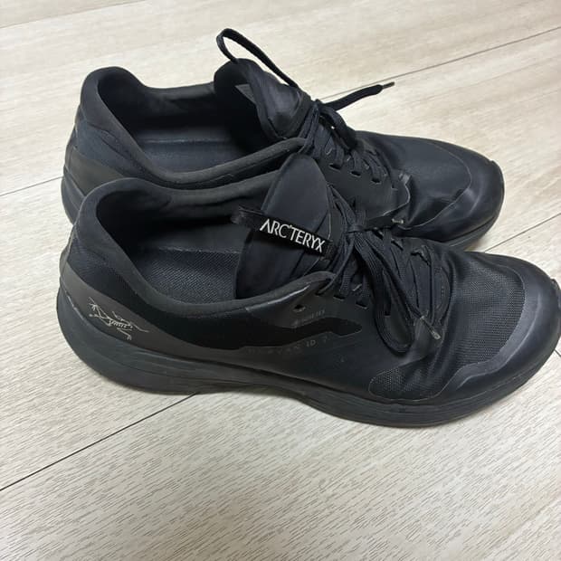 아크테릭스 노반 ld2 고어텍스 290