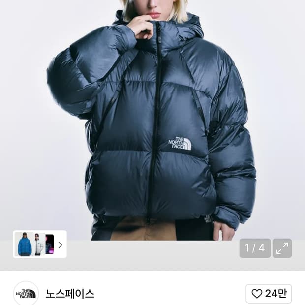 노스페이스 프로젝트다운