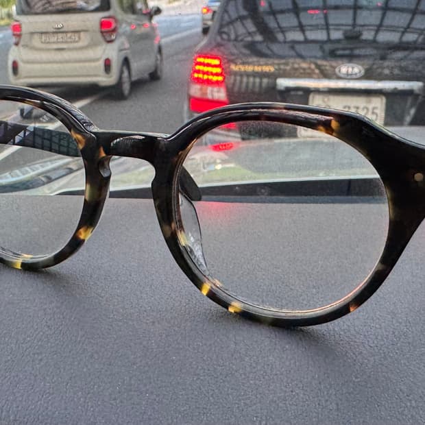 사가와후지이 테논 안경 (톨토이즈 컬러 + 우드)