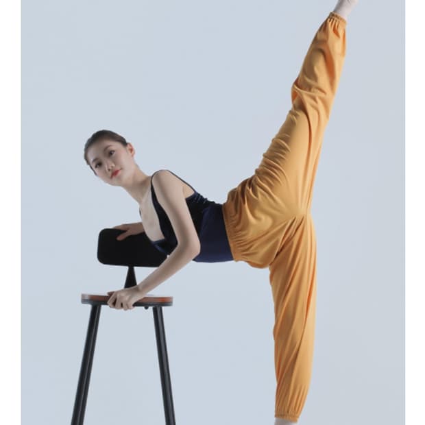 새 에브리원 성인 발레 웜업 땀복 팬츠 F 33-55