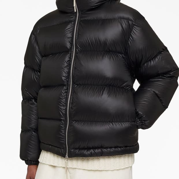 질샌더 다운자캣