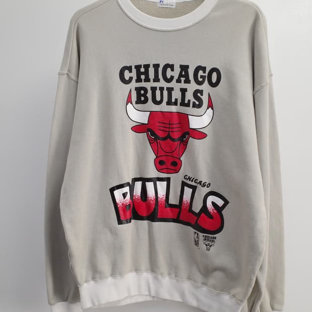 chicago bulls / jog family team