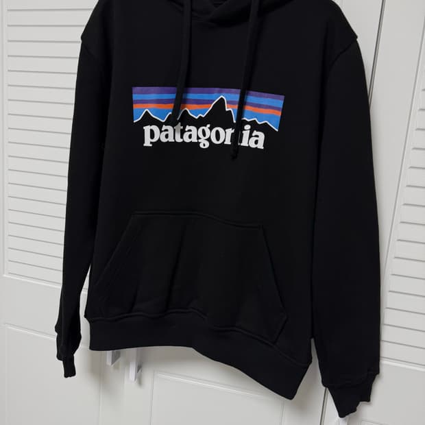 파타고니아 후드티
