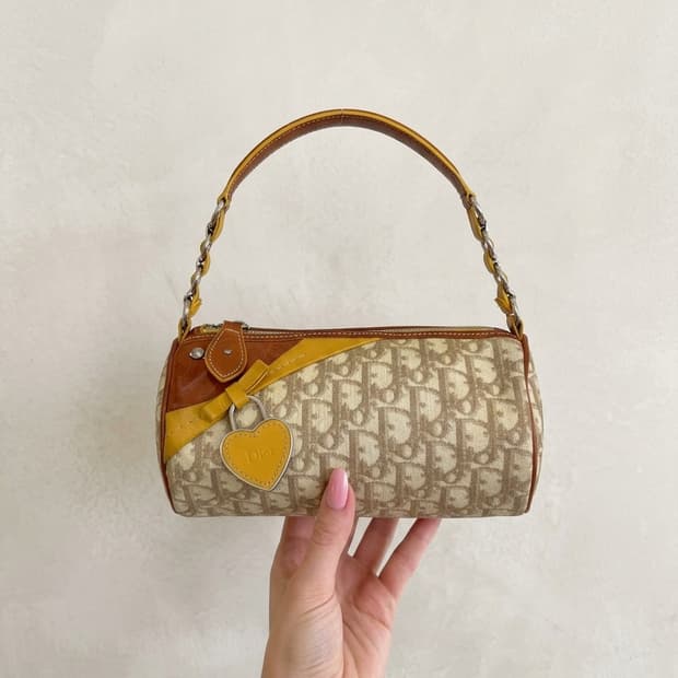 디올 오블리크 로맨틱 미니 원통백