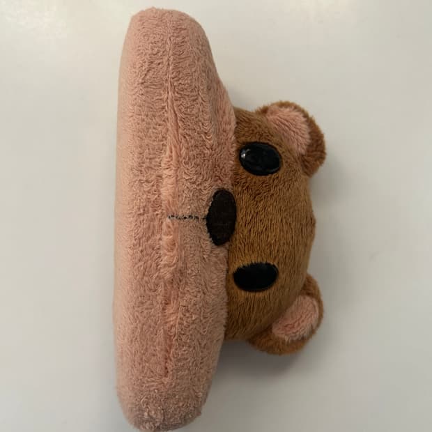 곰돌이 안경케이스