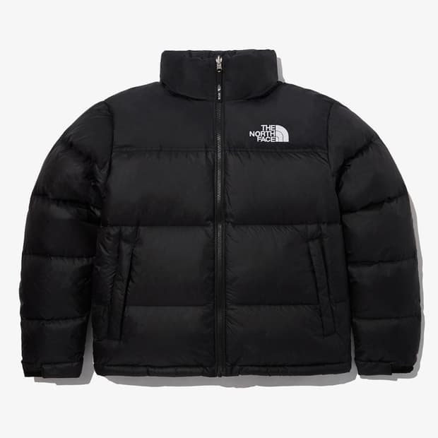 1996 눕시 에코 L
