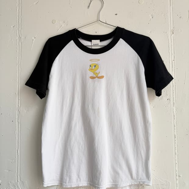 RAY BEAMS x LOONEY TUNES t-shirt