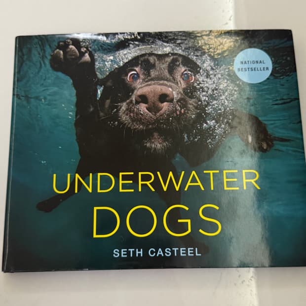 Seth Casteel이 사진을 찍고 저술한 'Underwater Dog