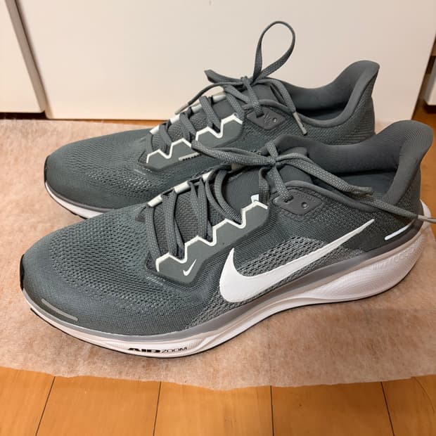나이키 에어 줌 페가수스 41 그레이 (사이즈 290)