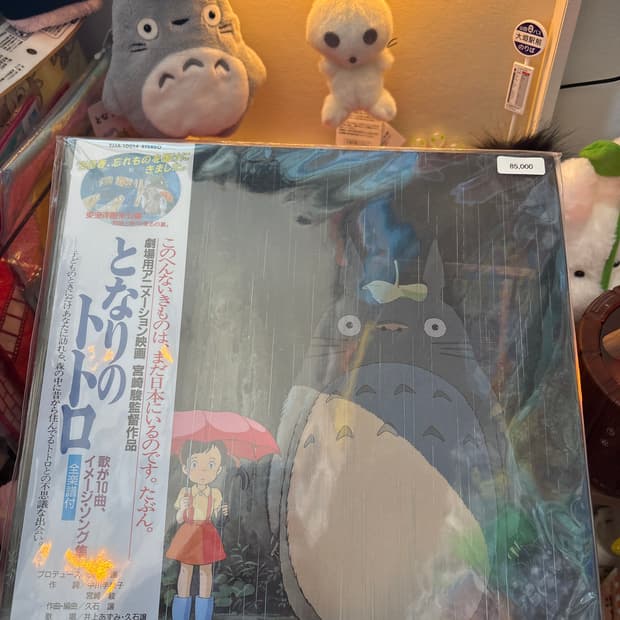 이웃집토토로 LP판