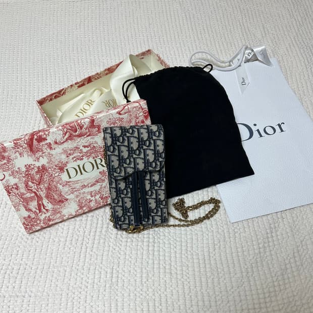 디올 오블리크 새들 버티컬백