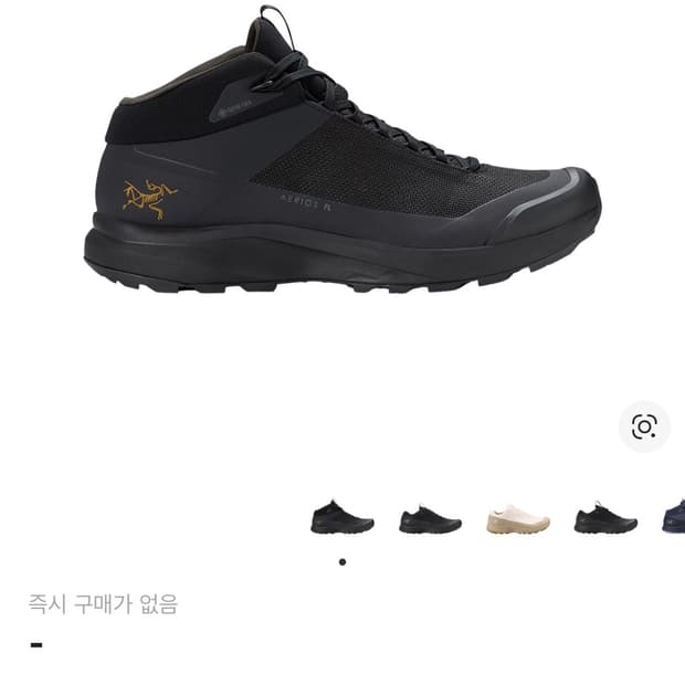 아크테릭스 에어리어스FL Mid