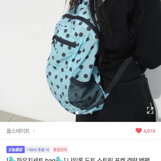 미개봉 새상품 민트 도트 백팩 하이산st