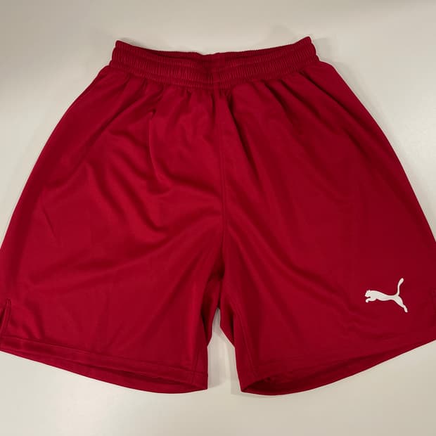 푸마 00s 팀라이즈 스포츠 숏츠 쇼츠 팬츠 레드 Puma OLD