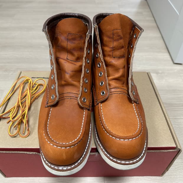 레드윙 목토 875 260