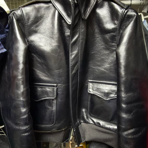 버즈릭슨 A-2 A2 윌리엄깁슨 에디션