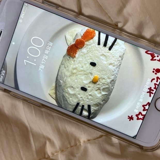 아이폰 6 배터리 100