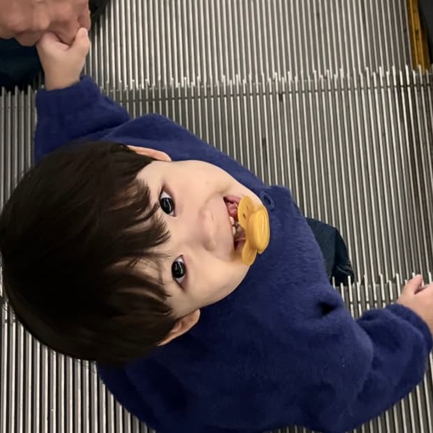 결제창 ) 스투시 버건디 후드티