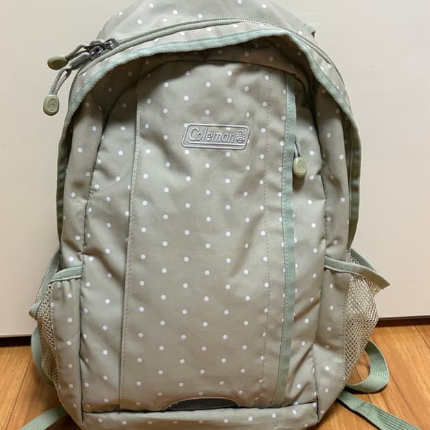 콜맨 빈티지 연두색 메론색 말차색 도트 백팩 희귀