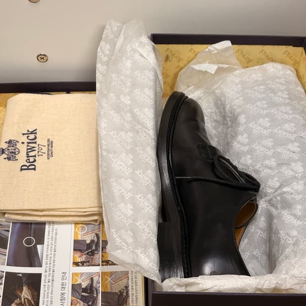 버윅 5341 240(5) 더비