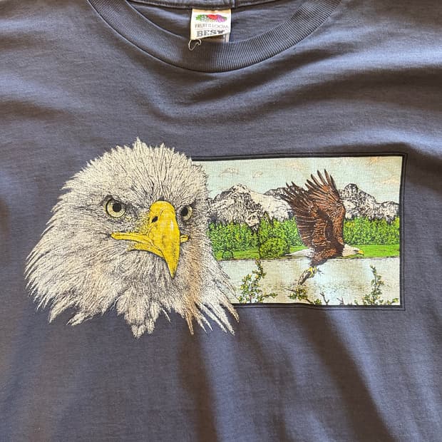 90s 프루트오브더룸 'Majestic Eagle' - XL