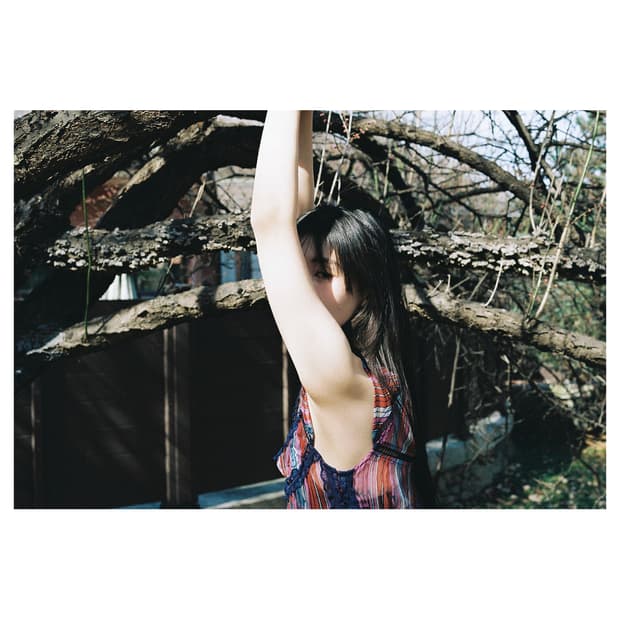 BINDU : 시스루 쉬폰 반팔 슬리브리스 블라우스