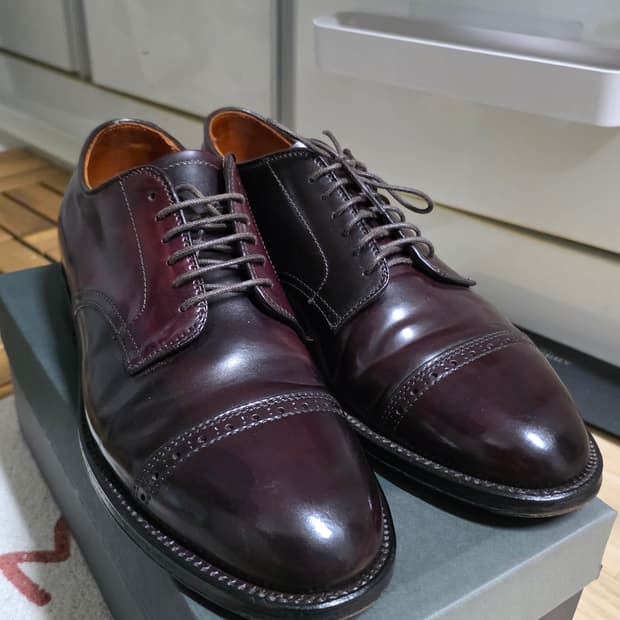 알든 A6501 8.5D 265~270mm