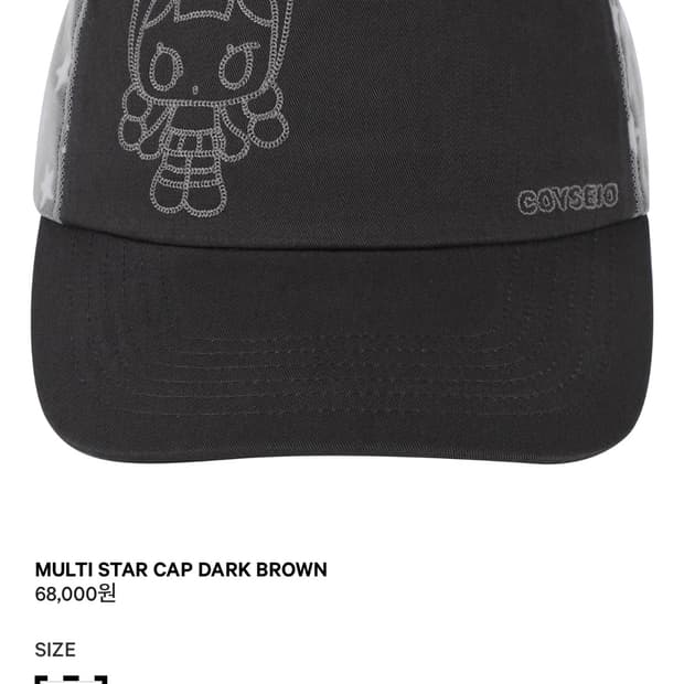 코이세이오 모자