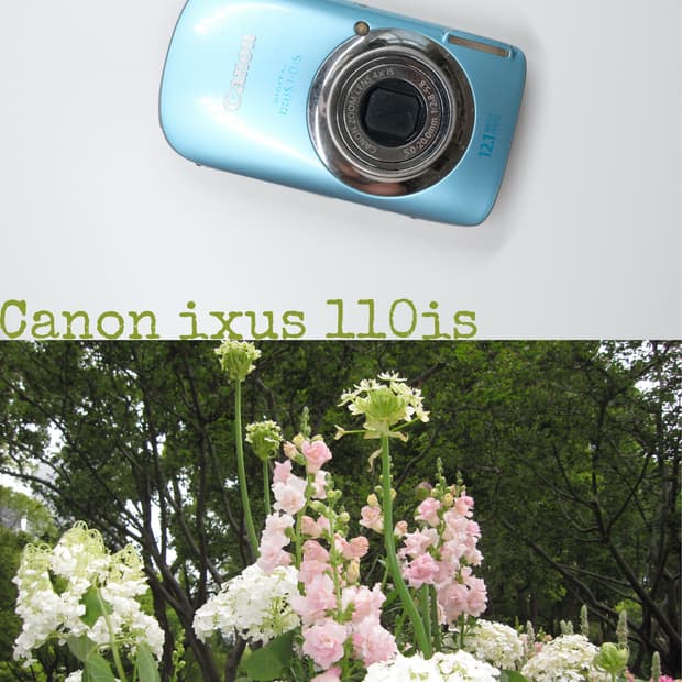 Canon ixus110is