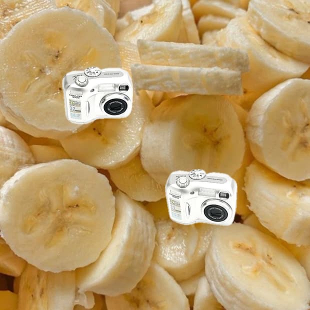 사쿠라 디카&희귀!) Nikon Coolpix 3100 카메라