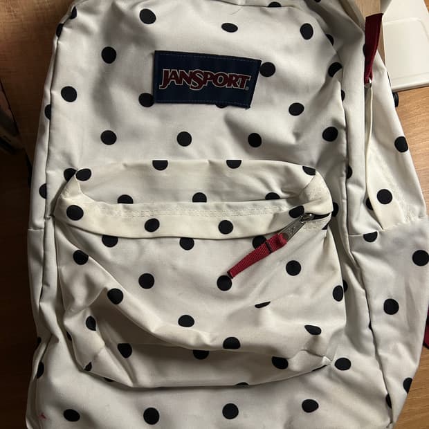 잔스포츠 도트 절판 백팩
