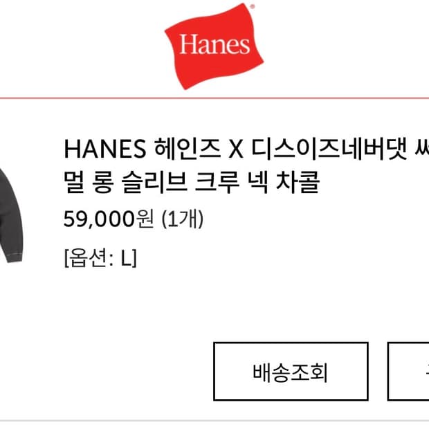 헤인즈 디스이즈네버뎃