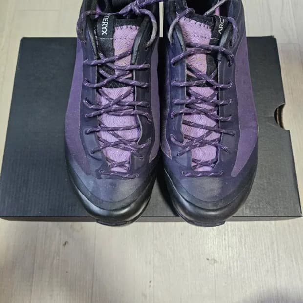 아크테릭스 퍼플 운동화 