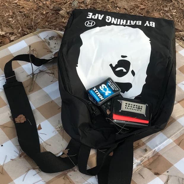 베이프 부록 빅사루 백팩